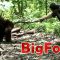 BIGFOOT Caught on Camera! – Found Footage – The Facility Video Archives